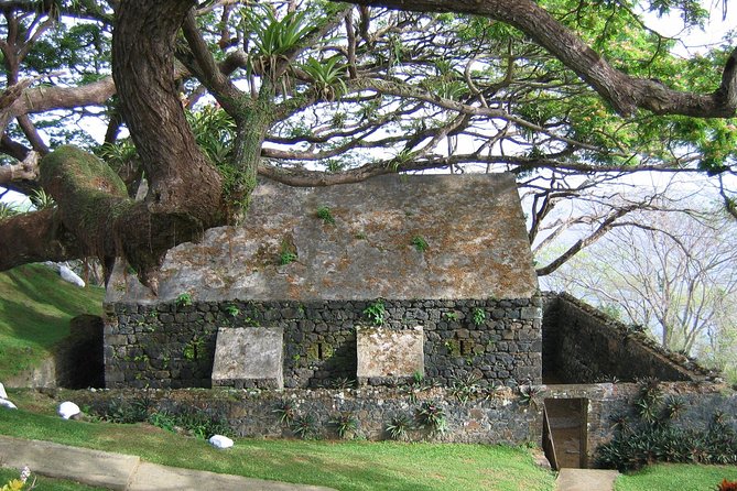 Highlights of Tobago Tour - Who will enjoy this Tobago tour most