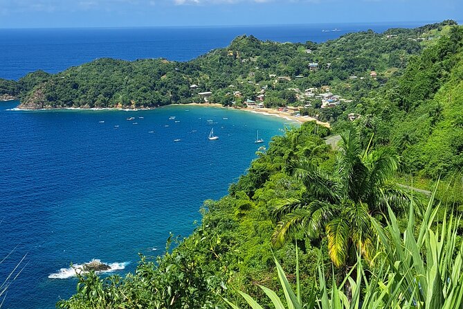 Island Tour (Food and Drinks include) - Castara Beach adds a second coastal mood