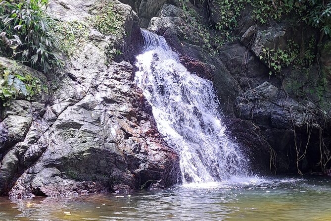 Island Tour (Food and Drinks include) - Forest and waterfall stops change the pace