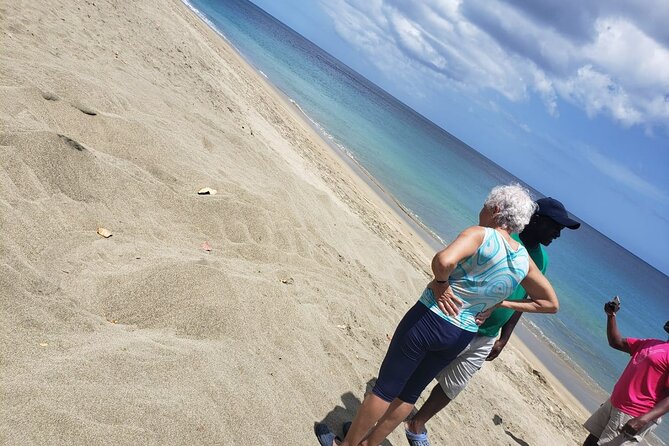 Island Tours of Tobago - Fort King George and Fort Granby