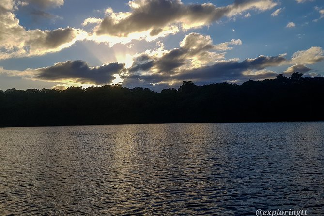 Kayak Adventure in the Second Largest Swamp of Trinidad and Tobago - Wildlife watching, from flamingos to silky anteaters