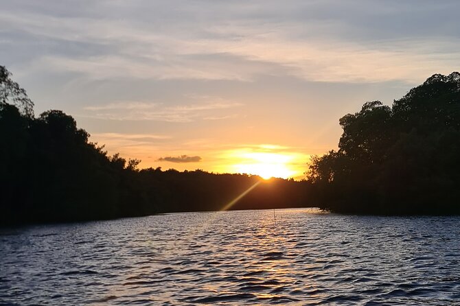 Kayak Adventure in the Second Largest Swamp of Trinidad and Tobago - Why the evening departure may be best
