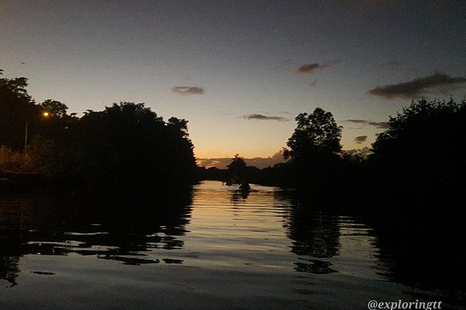 Kayak Adventure in the Second Largest Swamp of Trinidad and Tobago - Returning by flat-bottomed boat