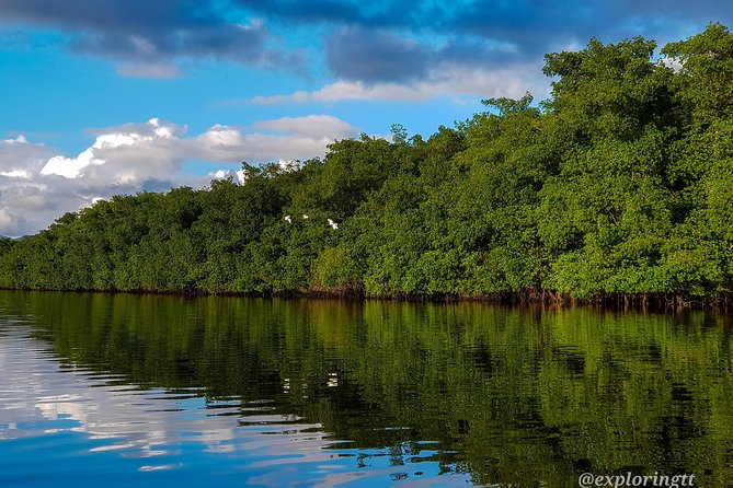 Kayak Adventure in the Second Largest Swamp of Trinidad and Tobago - The guide can make or break the day