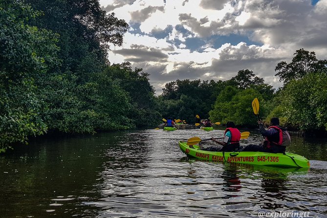 Kayak Adventure in the Second Largest Swamp of Trinidad and Tobago - Paddling through lagoons and mangrove waterways