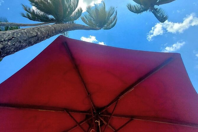 Maracas Beach Excursion & City Pass by tour - Queen’s Park Savannah and the broad city view