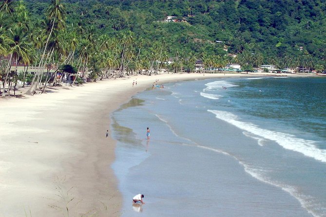 Maracas Beach Trip - Key points before you book
