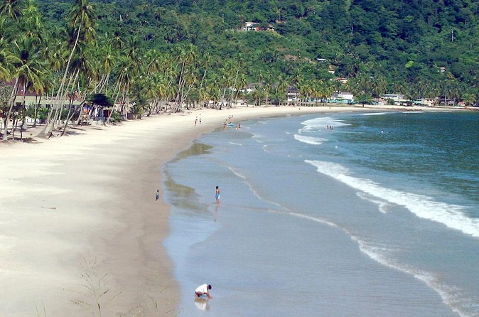 Maracas Beach Trip - Food, drinks, and the local flavor