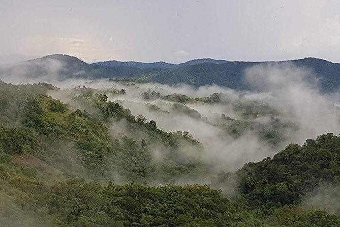 Paramin Jeep Tour in Trinidad - Pickup, meeting point, and airport planning