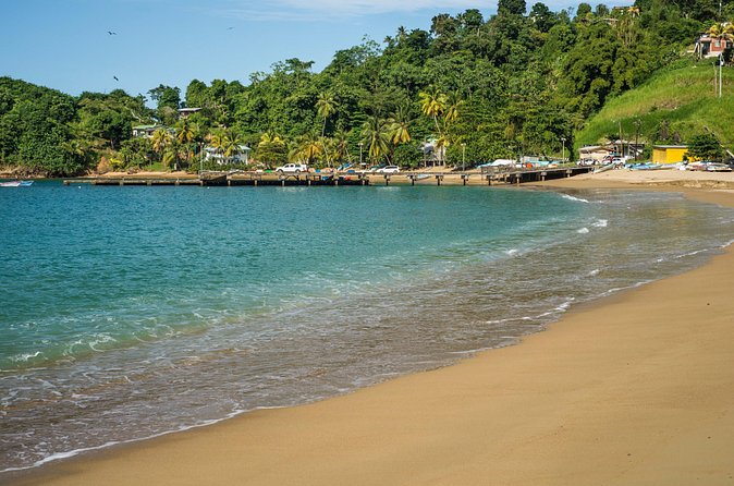Partlatuvier Bay Day Trip with Lunch - Who Will Enjoy This Half-Day Outing?