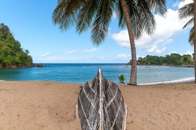 Partlatuvier Bay Day Trip with Lunch - Parlatuvier Bay Beach Time: Swim, Snorkel, or Sit Back
