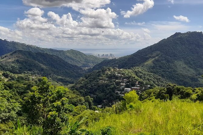 Personalized Private Tour The Paramin Hills - Is $88 per person good value?