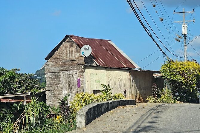 Personalized Private Tour The Paramin Hills - Who will enjoy this four-hour outing?