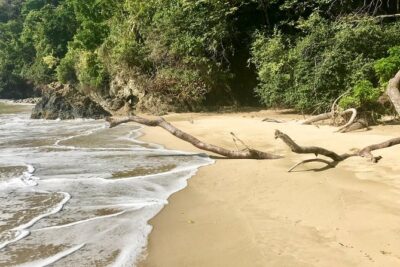 Coastal Tour of Trinidad