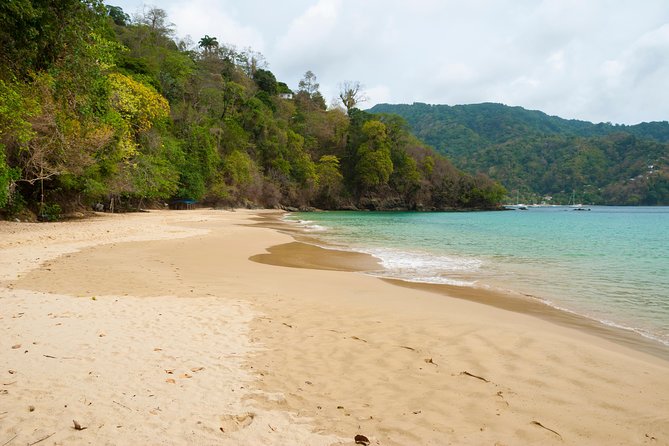 Pirate's Bay Day Trip with Lunch - Who will enjoy this Tobago outing most