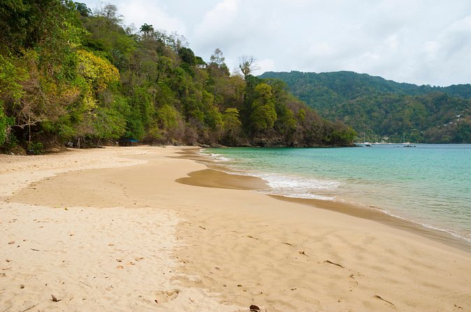 Pirate's Bay Day Trip with Lunch - How Tobago Fun Island Tours shapes the experience