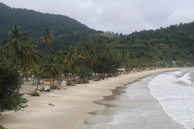 Port of Spain City Highlights and Maracas Beach - The North Coast drive to Maracas Bay