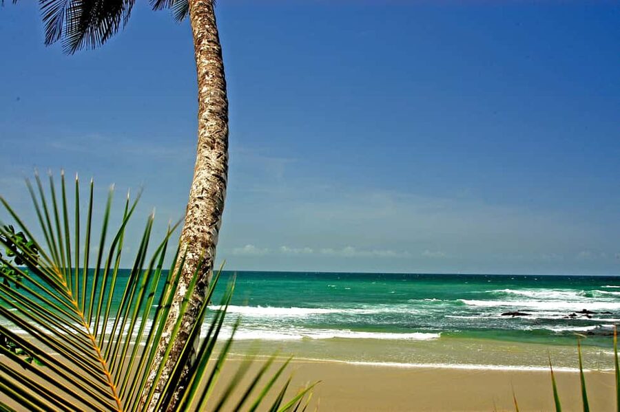 Port of Spain: Coastal Tour of Trinidad - Key points at a glance