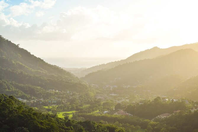 Port of Spain Private Walking Tour with a Local - Why the six-hour option may be worth it