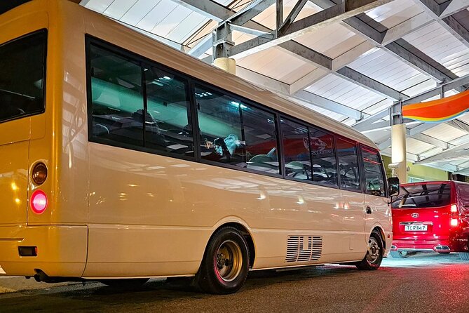 Private Transfer from Piarco Airport to San Fernando - Meeting your driver at Piarco Airport