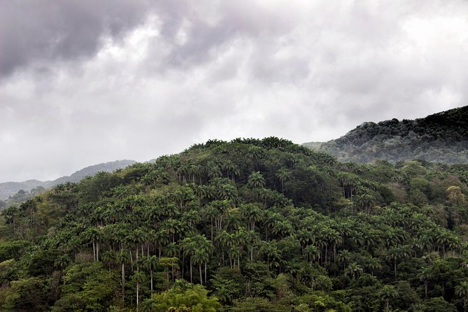 Rainforest Tour - Argyle Waterfall adds a welcome second act