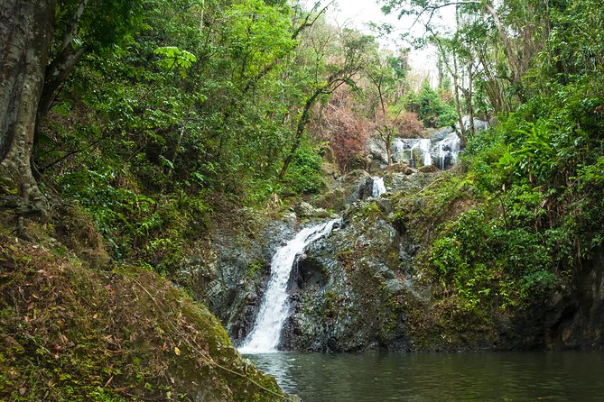 Rainforest Tour - Weather, cancellations, and what to pack