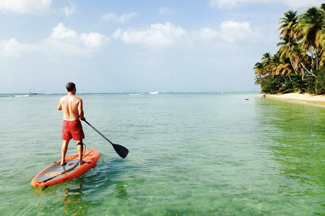 Stand Up Paddle Lessons - Key points about the Pigeon Point lesson