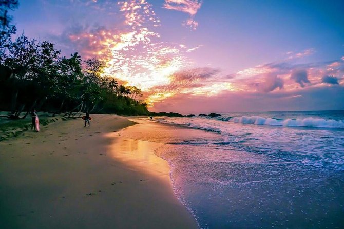 The Grand Circle 12-Hour All-Inclusive Island Experience - Main Ridge Forest Reserve offers a change of pace