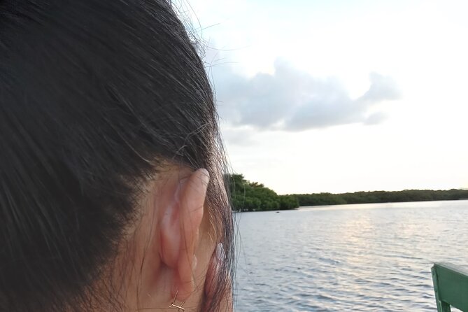 The Scarlet Ibis - Caroni Swamp Tour - Who will enjoy this afternoon most?