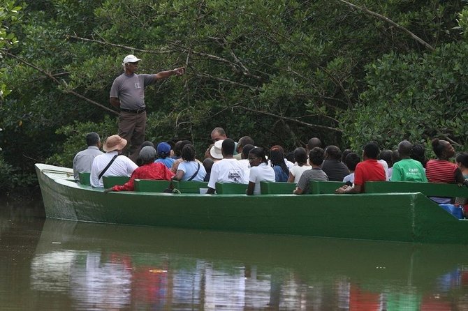The Scarlet Ibis - Caroni Swamp Tour - The best hour is the waiting hour