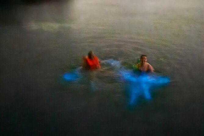 The ULTIMATE Bioluminescence night time adventure with Brandon - Time at Nylon Pool