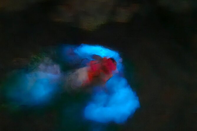 The ULTIMATE Bioluminescence night time adventure with Brandon - Weather, fitness, and equipment