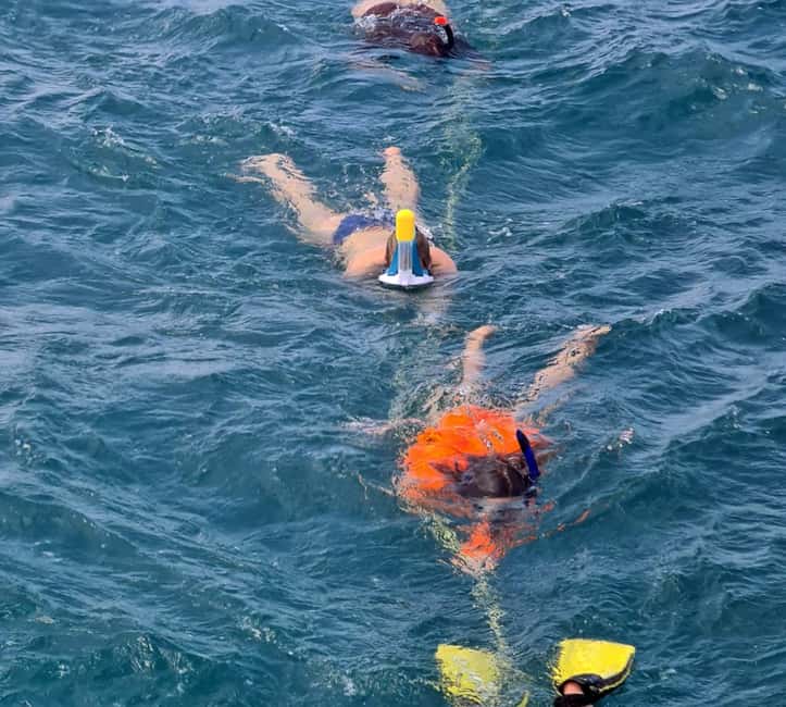 Tobago: Buccoo Reef and Nylon Pool Boat Tour with Transfer - Coral Gardens and the snorkeling stop