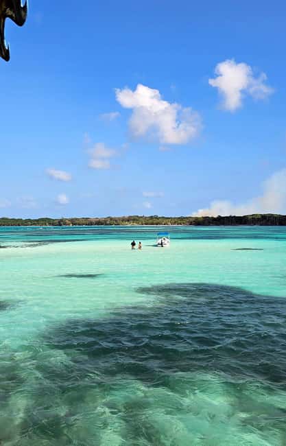 Tobago: Buccoo Reef and Nylon Pool Boat Tour with Transfer - No Man’s Land, beach time, and food