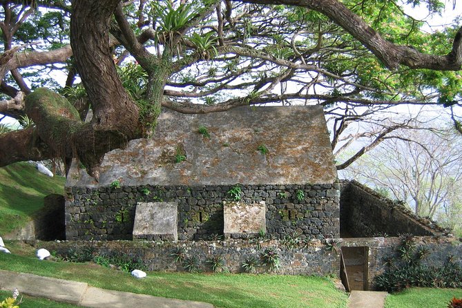 Tobago Buccoo Reef Glass Bottom Boat Cruise and Island Sightseeing Tour - Store Bay gives you a softer finish