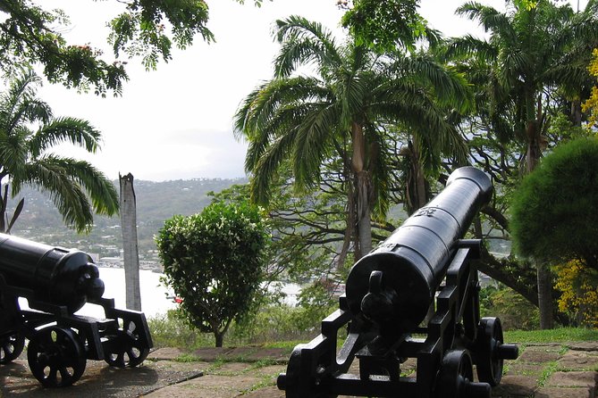 Tobago Buccoo Reef Glass Bottom Boat Cruise and Island Sightseeing Tour - Edith can make the difference