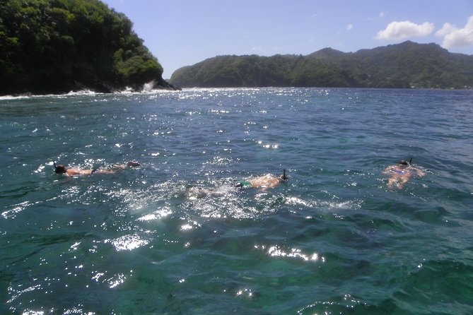 Tobago Buccoo Reef Glass Bottom Boat Cruise and Island Sightseeing Tour - Timing, transport, and what to pack