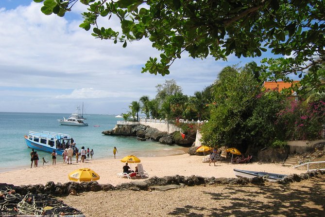 Tobago Buccoo Reef Glass Bottom Boat Tour - What this Tobago boat tour actually includes