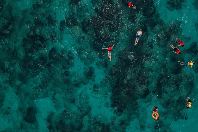 Tobago Buccoo Reef Glass Bottom Boat Tour - Guides, drivers, and the human side
