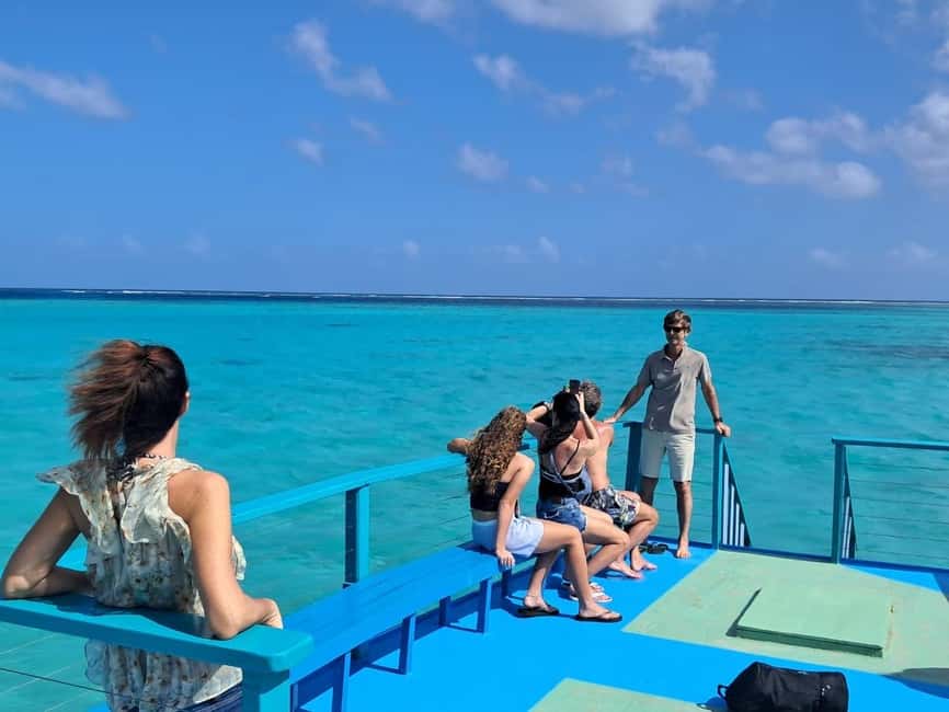 Tobago: Buccoo Reef Marine Park Glass Bottom Boat Tour - Coral Garden and the spheroid brain coral