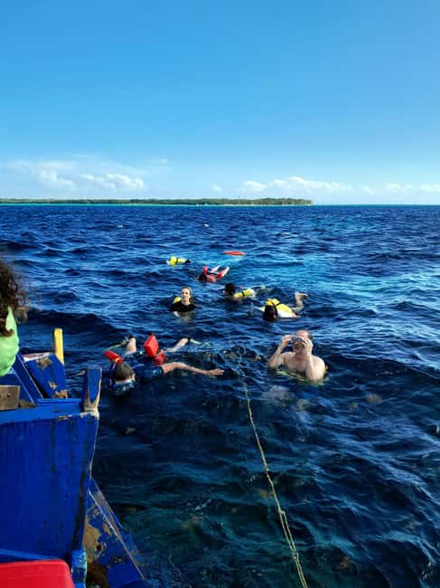 Tobago: Coral Reef Boat Tour with BBQ and Transfer - Starting at Buccoo Beach