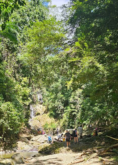 Tobago: Half Day Atlantic Coast Tour with Transfer - Key points to know before booking