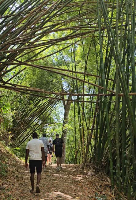 Tobago: Half Day Atlantic Coast Tour with Transfer - Tobago’s Atlantic coast in four useful hours