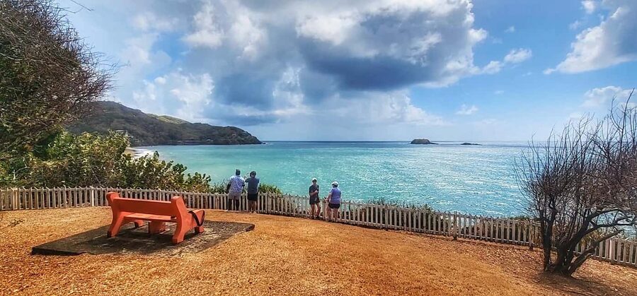 Tobago: Half Day Atlantic Coast Tour with Transfer - The drive can be either a tour or just a transfer
