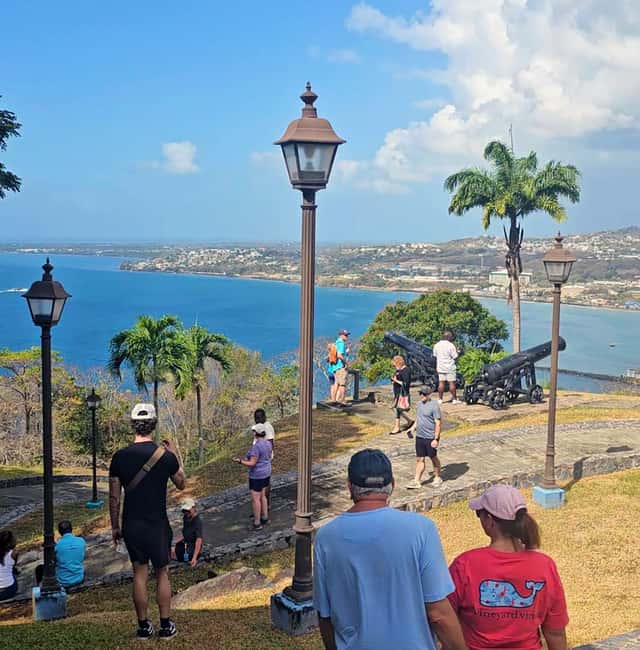 Tobago: Half Day Atlantic Coast Tour with Transfer - A taste of Tobago beyond the main stops