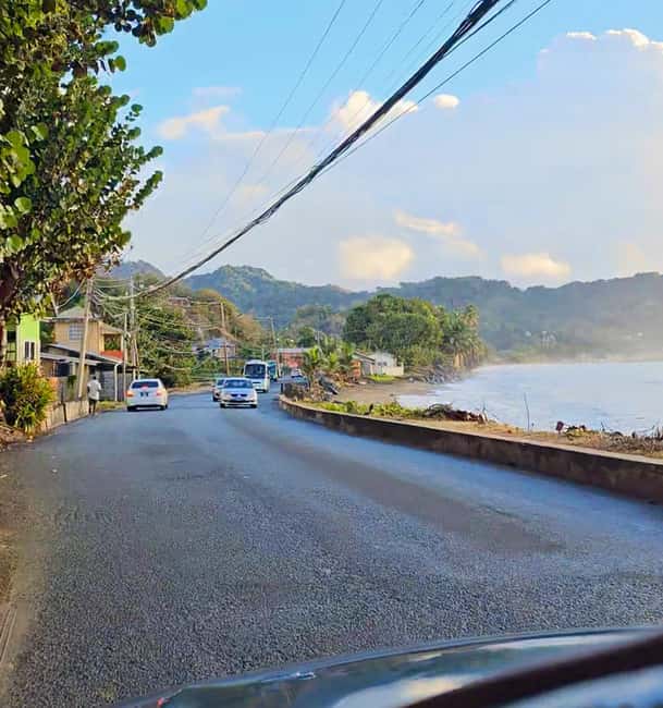 Tobago: Half Day Atlantic Coast Tour with Transfer - What $80 gets you, and where the value sits