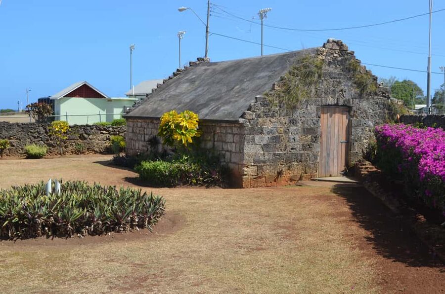 Tobago: Half-Day Highlights Tour - What this three-hour Tobago tour is really for