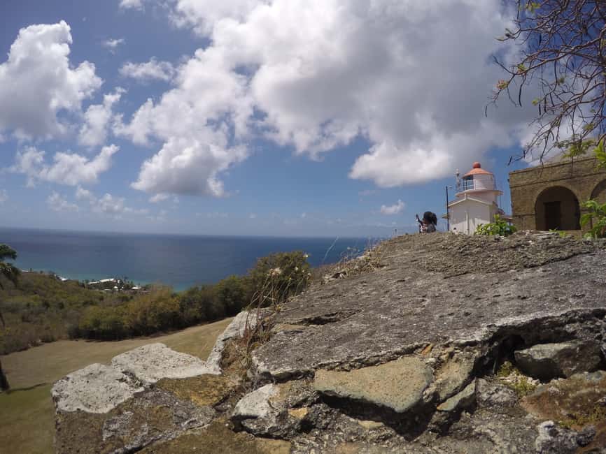 Tobago: Half-Day Highlights Tour - Who should book this island overview?