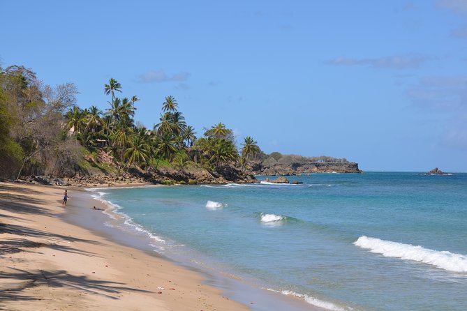 Tobago Island Tour - Key points at a glance