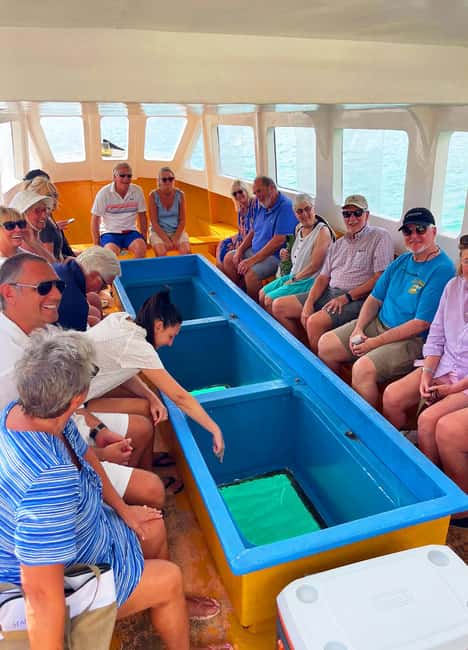 Tobago: Little Tobago Bird Sanctuary Visit and Boat Tour - Why this six-hour combination works